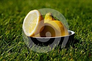 Refreshing Sliced Lemon Outdoors on Grass