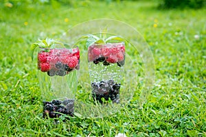 Refreshing summer drink with sparkling water and fresh berries