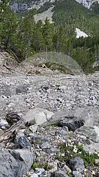 Refreshing summer landscape in Fuorn valley trail.