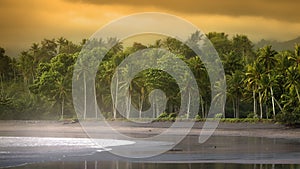 Refreshing summer morning view of sandy beach with palm trees in Bali, Indonesia