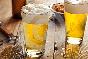 Refreshing Summer Pint of Beer