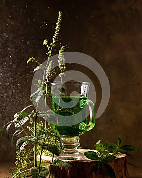 Refreshing tarragon drink and blooming fresh mint