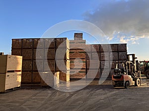 Potato storage facility. Wooden boxes used for potatoes and onions are stacked outside the warehouse.