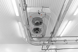 Warehouse freezer, Cold storage. Warehouse freezer, Cold storage.