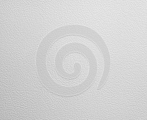 Refrigerator Door Texture