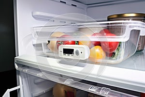 refrigerator with temperature probe and alarm, ensuring food safety