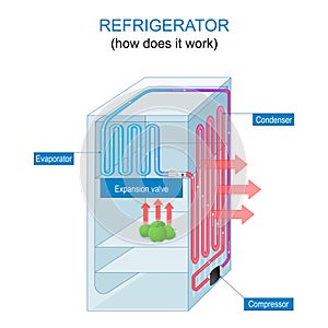 Refrigerator working principle. How does a fridge work