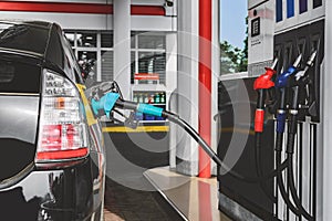 Refueling a car with a birch gun. View of the gas station with fuel hoses