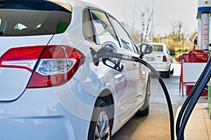 Refueling the gas at the gas station stock photo