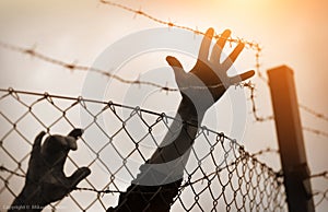 Refugee men and fence photo