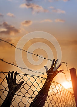 Refugee men and fence