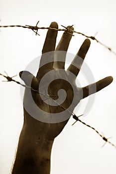 Refugee men and fence photo