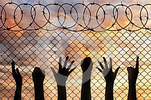 Refugees hands silhouette near the fence of barbed wire.