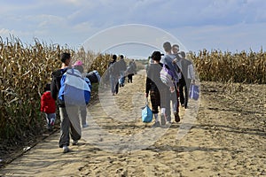 Refugees in Sid (Serbian - Croatina border)