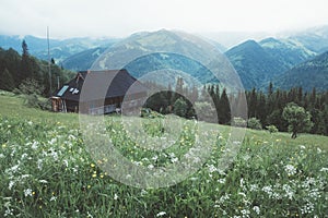 Refugio in high mountain photo