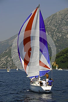 Regata 23
