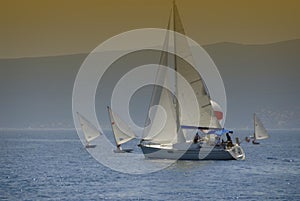Regata 26