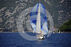 Regata 29