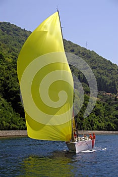 Regata 32