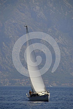 Regata 56