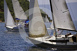 Regata 58