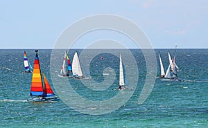 Regatta