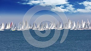 Regatta Barcolana, Sailing boat race