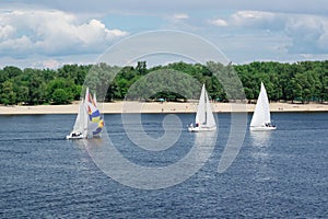 Regatta competition on lake river sailing yachts boats with white sails and gennaker
