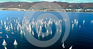 Regatta in Gelendzhik Bay. A lot of small one-and two-person yachts jostle in the Bay with a light wind. The view from