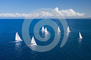 Regatta in indian ocean photo