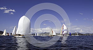 Regatta Nioularge