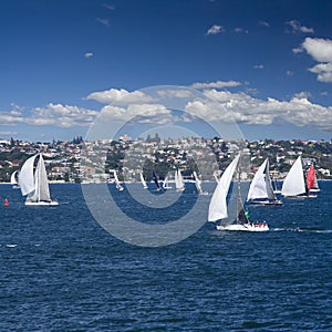 Regatta sail boats