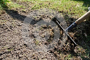 Regeneration of a damaged lawn