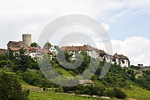 Regensberg castle