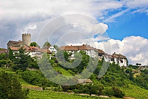 Regensberg castle