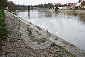 Regensburg is an old German city in Bavaria