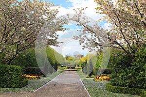 Regent's park in London