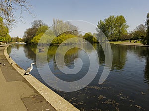 Regents Park lake