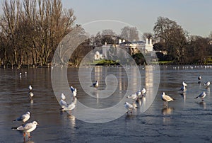 Regents Park in London