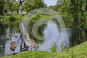 Regents Park in London