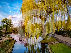 Regents park of London in spring season