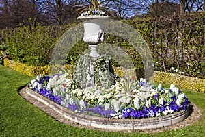 Regents Park spring urn flower display London