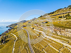 Region Lavaux in golden autumn color, Switzerland