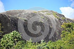 Mountain and undergrowth with some vegetation in the region close to the sea, northeast of Brazil. photo