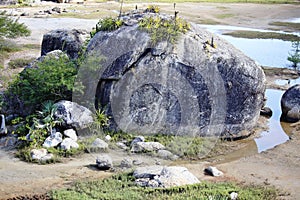 Big rocks and undergrowth with small trees in the region close to the sea, northeast of Brazil. photo