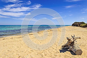 The Regional Natural Park Dune Costiere,Apulia ITALY. Sea horizon: view from a sandy beach.