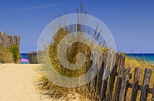 The Regional Natural Park Dune Costiere Torre Canne: fence between sea dunes. BRINDISI Apulia-ITALY- photo