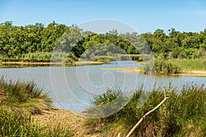 Regional Natural Park of Migliarino - San Rossore and Massaciuccoli Tuscany Italy