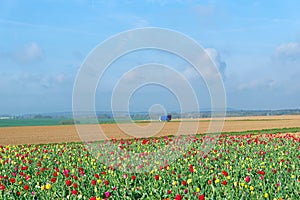 Regional Natural Park Oise France