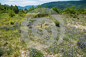 Regional park the provencial baronies